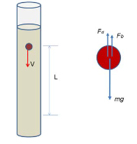 Viscosity